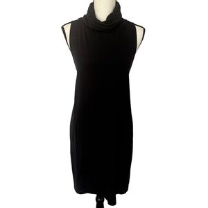 Black Turtleneck Dress